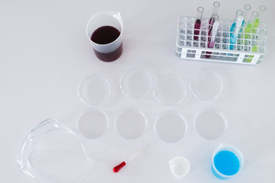 Laboratory setup with petri dishes and test tubes on a white surface