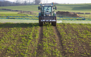 Pulvérisation de pesticides par tracteur sur un champ  avec pulvérisateur au printemps, un danger pour les agriculteurs et la planète