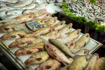 Carp, a freshwater fish for sale at the fishmonger's stall,