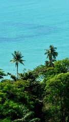 Turkusowa woda Tajlandia rajska plaża z palmami dwie palmy z oceanem. Koh Chang Thai