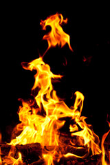 a close up of a fire with a black background
