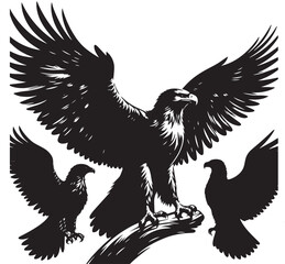 eagle silhouetee