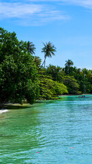 Rajska plaża Tajlandia niebieska błękitna woda palmy wyspa Koh Chang
