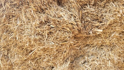 Close up of hay bale texture background. Hay bale texture.