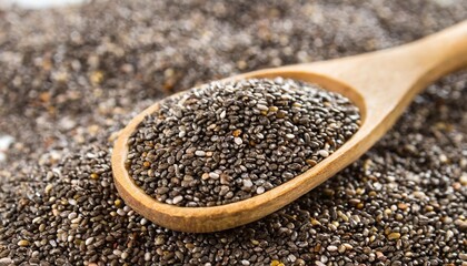 chia seed isolated