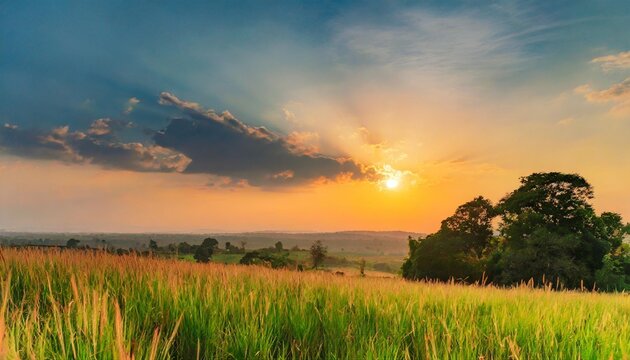 the epic landscape at sunset view of a plain with high grass and trees natural background nature landscape wallpaper banner created using tools