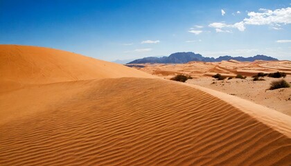 Fototapeta na wymiar y Desert sand landsacpe