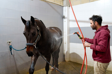 Man using a hose to bathe a horse in a stable