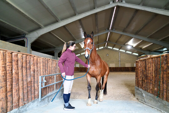 Equestrian with a bay horse inside a well-equipped riding arena.