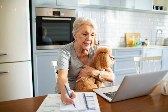 Elderly woman with her dog working on laptop at home