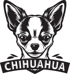 Chihuahua Head