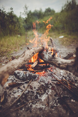 a close up of a campfire in the middle of a field