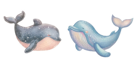 cute whale soft watercolour vector illustration © Finkha