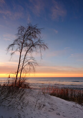 Morze Bałtyckie, zachód słońca,drzewo, wydmy, piasek, plaża, Kołobrzeg, Polska.