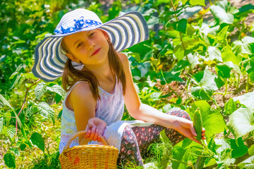 Young beautiful girl with basket picking up organic cucumbers in the greenhouse. Healthy eating....