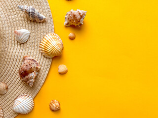 Sea shells on yellow background, summer vacation, top view 