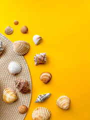 Sea shells on yellow background, summer vacation, top view 
