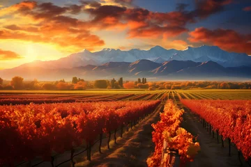 Zelfklevend Fotobehang Vineyard near Mendoza, beautiful landscape in autumn sunset © Olivia