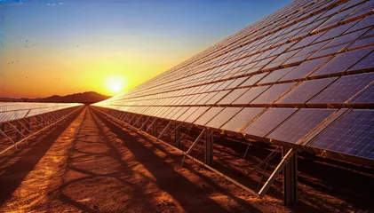 Poster  A large solar farm in the middle of the desert © Graphic Dude