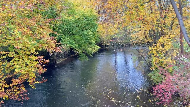 Ilm river, in autumn season near Weimar, Germany