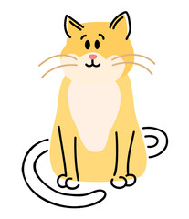 cute and funny british shorthair cat, isolated on white background. 