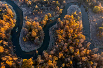 The Bryansk Forest Nature Reserve, the valley of the Desna River, meanders and bends of the Navlya River (a tributary of the Desna). Golden autumn, first October frosts