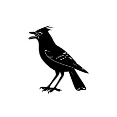 Black silhouette of Brids side view isolated



