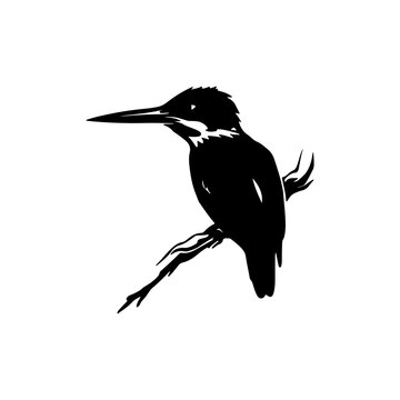 recommend clip art: Black silhouette of Brids side view isolated
                    
                    
                    
                    