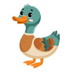 Cute funny duck, happy little duckling. Сute farm animal isolated on white background. Flat vector illustration.