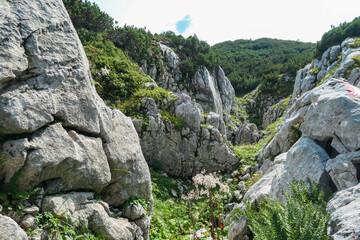 Panoramic hiking trail in majestic mountain range of Hochschwab massif, Styria, Austria. Walking on...