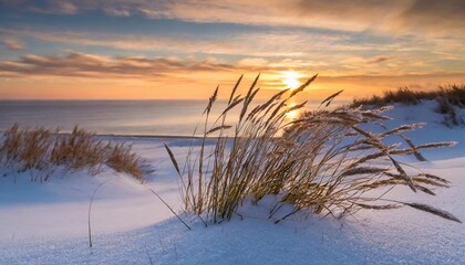 grasses in snowy dunes in the front of the serene and tranquil winter scene sea and sunset sunrise in the background golden soft light for romantic loving emotions