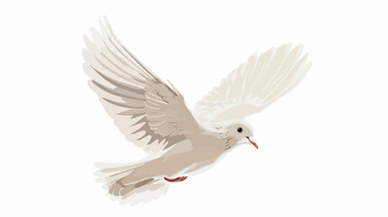Dove bird flying isolated on white background vector