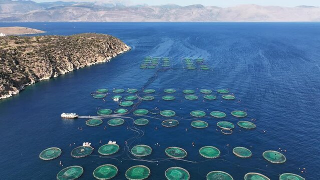 Aerial drone video of large fish farming unit of sea bass and sea bream in growing cages in calm deep waters