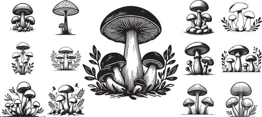 silhouettes of mushrooms set, black and white vector graphics forest fung