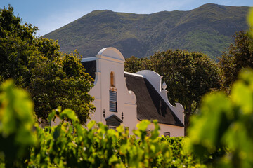 Naklejka premium Groot Constantia wine estate near Cape Town, South Africa