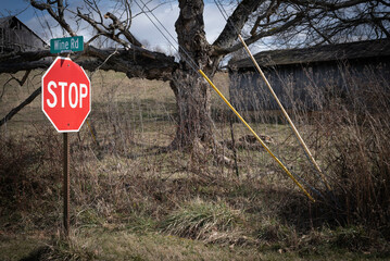 Stop, and Wine signs along a rural road.  Stop for Wine.