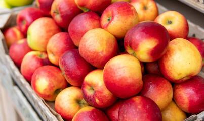 Fresh Gala Apples Close Up