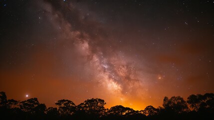 Fototapeta premium Night Sky with Milky Way Glowing Above a Forest Silhouette and a Warm Horizon Glow