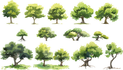 Set of watercolor green tree isolated on white background for landscape and architecture drawing, elements for environment and garden, botanical for section in spring. Watercolor trees collection