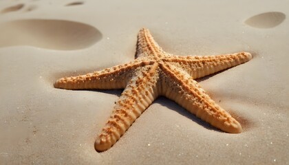 Fototapeta na wymiar Starfish on the sand, five legs