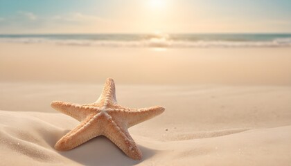 Fototapeta na wymiar Starfish on the sand at noon