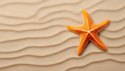 Fototapeta na wymiar starfish on striped sand