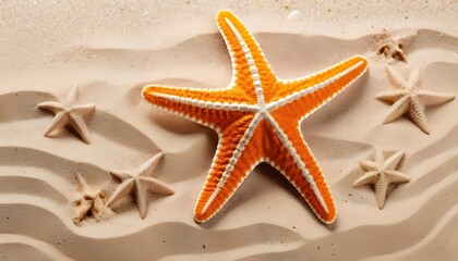 Fototapeta na wymiar starfishes on the sand isolated
