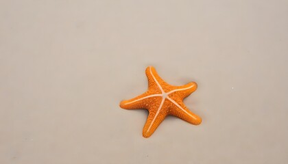 Fototapeta na wymiar starfish isolated on sand