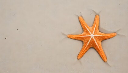 Fototapeta na wymiar starfish on the beach, free space for writing