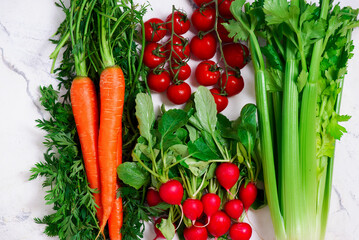 Fresh vegetables, carrots, radishes, celery stalks, cherry tomatoes.top veiw