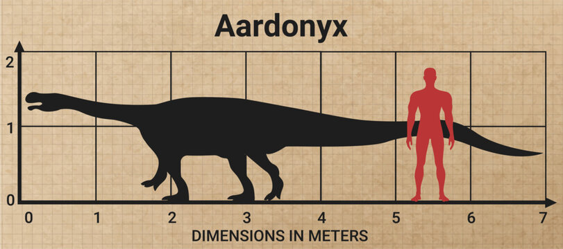 Comparing the size of Aardonyx to the average adult human male (1.8 meters)
