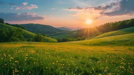Foto op Aluminium Picturesque colorful summer landscape with warm sunset lighting. A meadow with yellow wildflowers in the foreground, forested hills and evening sky in the background. © Georgii