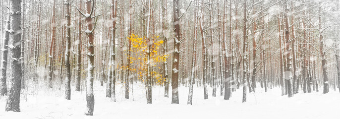 winter landscape at snowfall. - 744828729