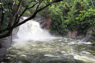At Josephine Falls in Far North Queensland, Australia: Cascading waterfalls flow gracefully amidst...